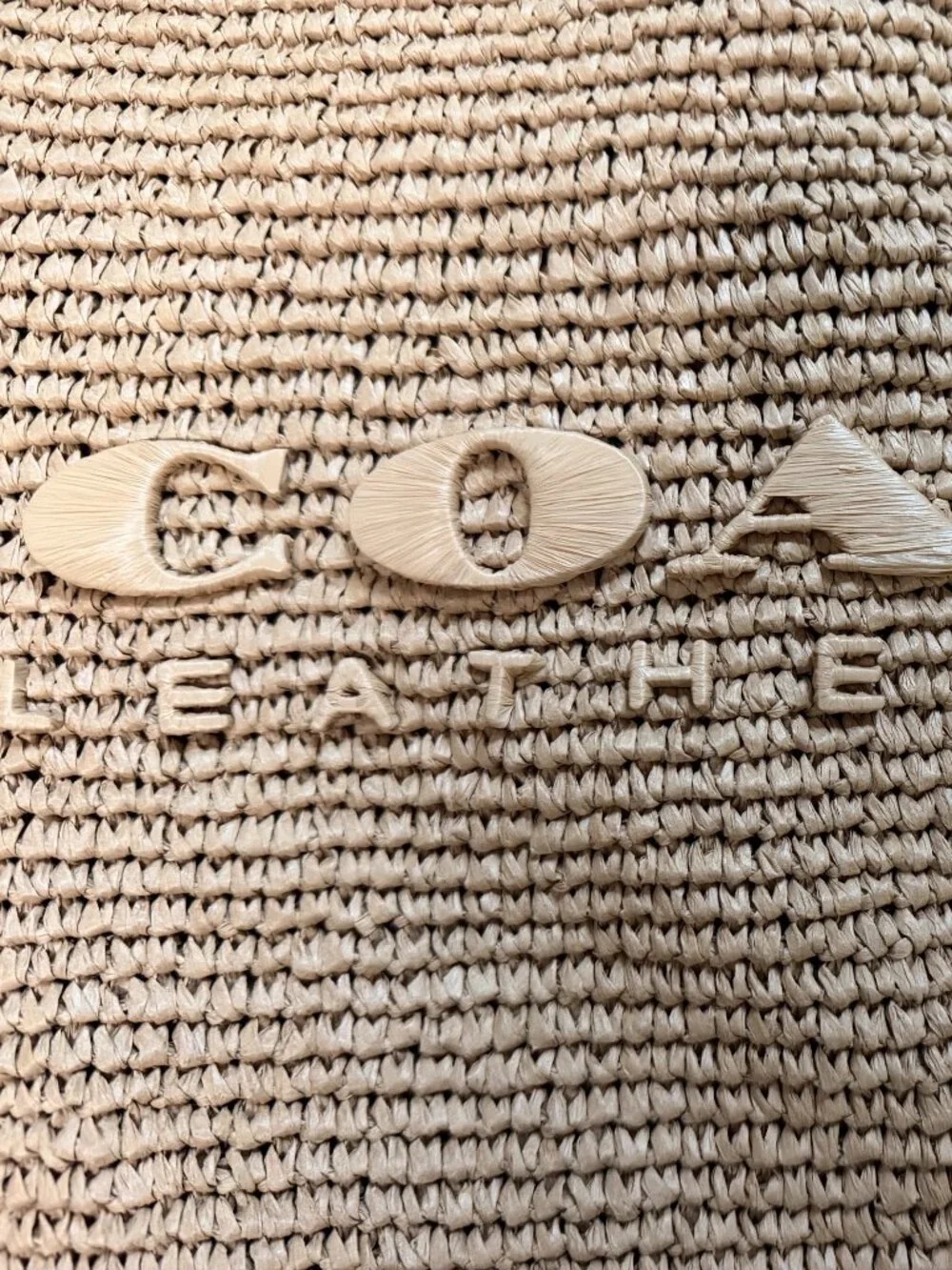 COACH Brooklyn Straw Hobo Bag 39 Shoulder Bag